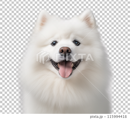 Cute the Samoyed dog isolated on white background, cute pets concept, realistic illustration 115994418