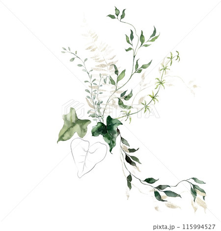 Watercolor floral illustration featuring golden herbs, bedstraw, grass. Hand-drawn card of a plant bouquet on a white background. An outdoor template for design, printing or fabric background. Watercolor floral illustration featuring golden herbs, bedstraw, grass. Hand-drawn card of a plant bouquet on a white background. An outdoor template for design, printing or fabric background. 115994527