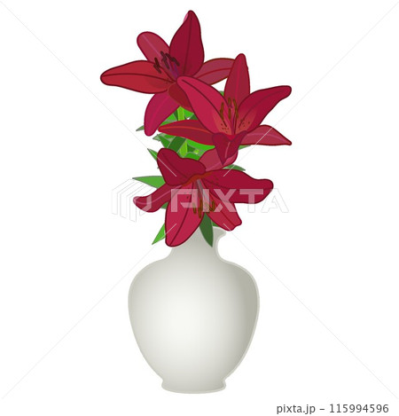 花瓶に生けられた百合の花のイラスト 115994596