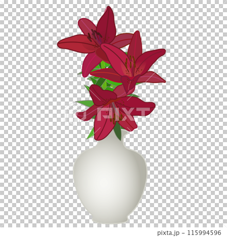花瓶に生けられた百合の花のイラスト 115994596
