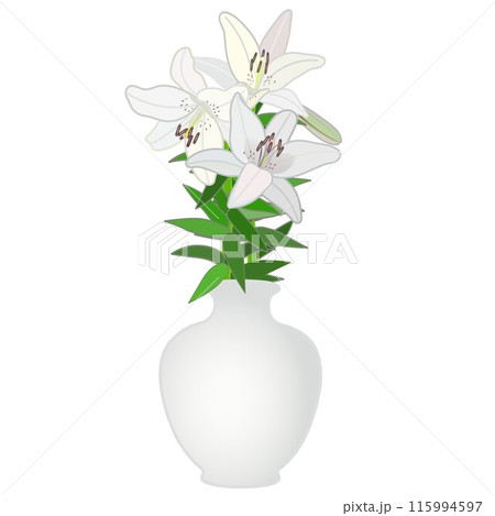 花瓶に生けられた百合の花のイラスト 115994597