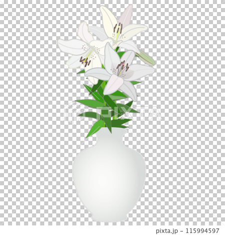 花瓶に生けられた百合の花のイラスト 115994597