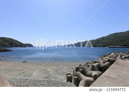 三崎港の浜から佐田岬半島の風車群と遠く入港してくるフェリーを見る 115994772
