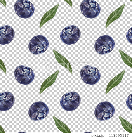 Blueberries seamless pattern. Berries and leaves. Hand drawn watercolor illustration isolated on white background. For food and cosmetic labels, textiles, packaging paper, covers. Blueberries seamless pattern. Berries and leaves. Hand drawn watercolor illustration isolated on white background. For food and cosmetic labels, textiles, packaging paper, covers. 115995117
