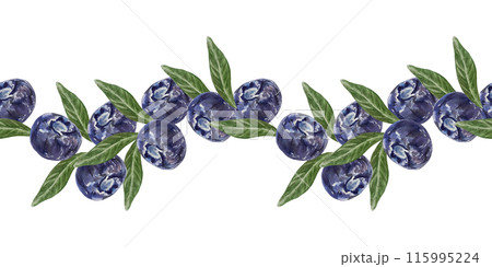 Blueberries seamless border. Berries and leaves. Hand drawn watercolor illustration isolated on white background. For greeting cards, invitations, food and cosmetic labels, menus, banners. 115995224