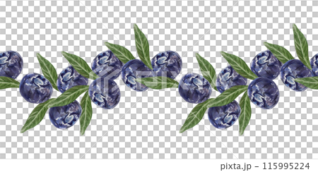 Blueberries seamless border. Berries and leaves. Hand drawn watercolor illustration isolated on white background. For greeting cards, invitations, food and cosmetic labels, menus, banners. 115995224