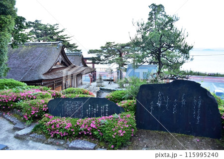 滋賀県高島市 白髭神社境内の紫式部歌碑と満開のサツキと琵琶湖 滋賀県高島市 白髭神社境内の紫式部歌碑と満開のサツキと琵琶湖 115995240