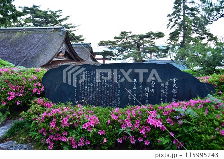 滋賀県高島市　白髭神社境内の紫式部歌碑と満開のサツキ 115995243