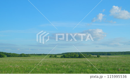 Green farm field at the dramatic sunset. Rural summer landscape in the evening on sunset. Time lapse. Green farm field at the dramatic sunset. Rural summer landscape in the evening on sunset. Time lapse. 115995536
