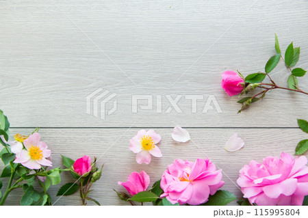 light wooden background with bright pink roses light wooden background with bright pink roses 115995804