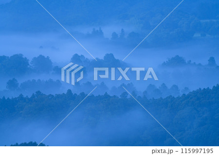 《千葉県》大雲海・九十九谷展望公園 115997195