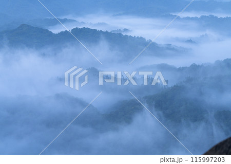 《千葉県》大雲海・九十九谷展望公園 《千葉県》大雲海・九十九谷展望公園 115997203