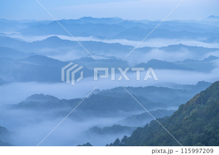 《千葉県》大雲海・九十九谷展望公園 115997209