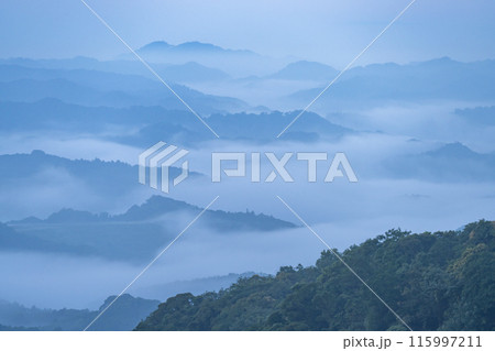 《千葉県》大雲海・九十九谷展望公園 115997211
