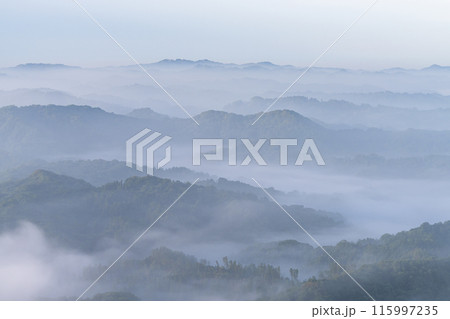《千葉県》大雲海・九十九谷展望公園 《千葉県》大雲海・九十九谷展望公園 115997235
