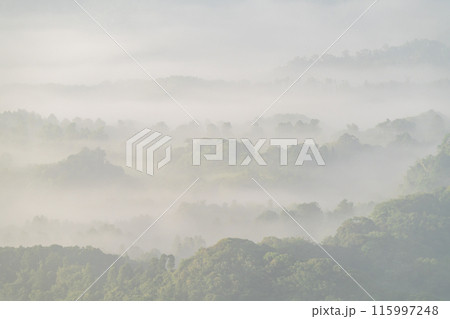 《千葉県》大雲海・九十九谷展望公園 115997248