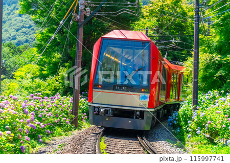 箱根あじさい電車　3100形 115997741