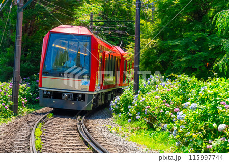 箱根あじさい電車　3100形 115997744
