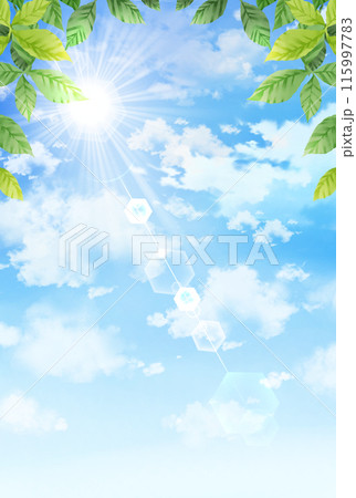 青空と太陽と木々　縦長 115997783