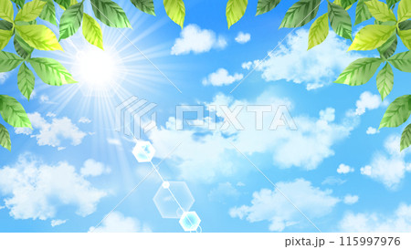 青空と太陽と木々 16:9 青空と太陽と木々 16:9 115997976