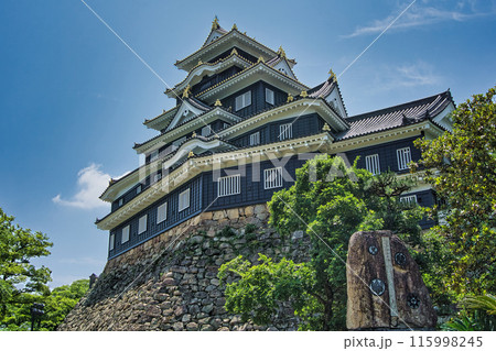 令和の大改修岡山城天守閣 115998245