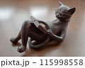 木彫りの読書する猫 115998558