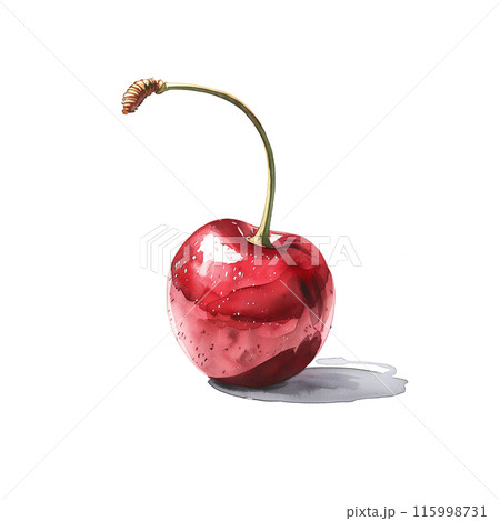 アクリル画 無題 101 『ローズ&アメリカンチェリー』 白背景にアメリカンチェリーの水彩イラストのイラスト素材 [115998731