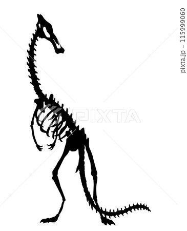 Dinosaur skeleton. Dino monsters icon. Shape of real animal. Sketch of prehistoric reptiles. Vector illustration isolated on white. Hand drawn sketch 115999060