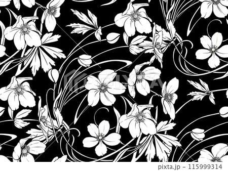 Forest Anemone flowers, decorative flowers  115999314