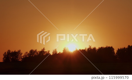 Beautiful View Of Sunset In Haze Above Treetops. Tree Top Skyline Tree-Line. Sunset Behind Tops Of Tree Branches Over A Forest Silhouette. 115999570