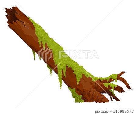 Log, stump in moss. Cartoon tree lichen in swamp jungle. Broken oak in tropical damp forest. Isolated vector design element on white background 115999573