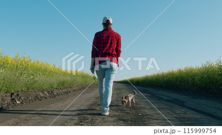 Farmer In Field. Inspecting His Harvest. Girl Walking Outdoor With Blooming Rapeseed Field On Background. Organic Vegetables. Enjoy Cinematic Nature. 115999754