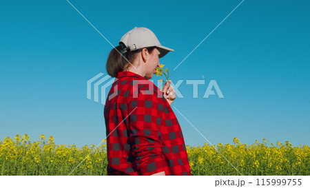 Female Farmer Walks Along Road Alongside Rapeseed. Agricultural Landscape Under Dramatic Sky Of Golden Hour Sunset. Female Farmer Walking In Field Inspecting Crop. 115999755