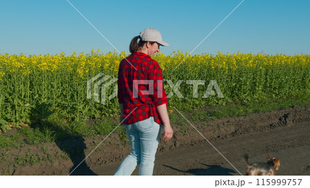 Beautiful Farmer Walks Through Sunny Field Of Rapeseed Among Tall Yellow Flowers. Agricultural Landscape. Happy Life. Farmer Checks The Future Harvest. 115999757