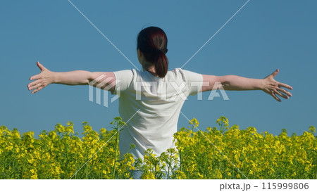 Woman Standing In Yellow Rapeseed Field Raising Her Arms Expressing Freedom. Beautiful Healthy Caucasian White Woman Standing In Blooming Rapeseed Field And Looking At Horizon. 115999806