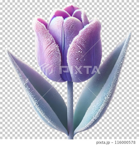 3d purple tulip with frost  116000578