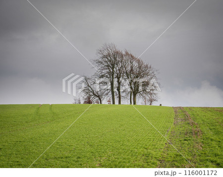 Brightwell Barrow, Bronze Age round barrow, Brightwell-cum-Sotwell, Oxfordshire 116001172