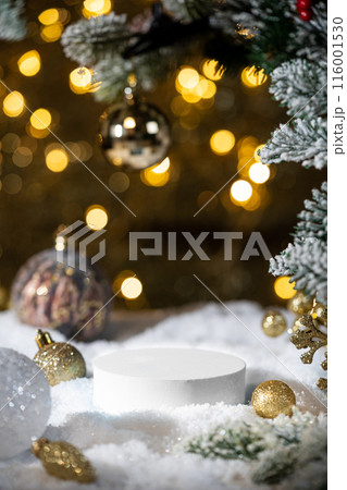 Winter Christmas composition Winter Christmas composition 116001530