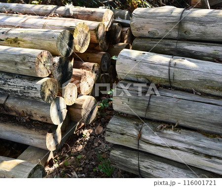 薪イメージ(キャンプなどに) 116001721