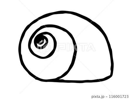 Sea shell hand drawn in thin line style 116001723