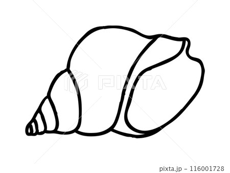 Sea shell hand drawn in thin line style 116001728