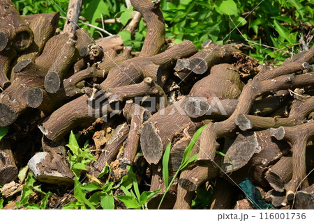 薪イメージ(キャンプなどに) 116001736