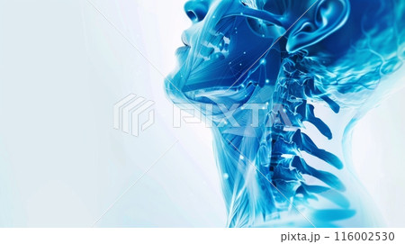 A digital illustration depicting a human neck and spine, rendered in shades of blue 116002530