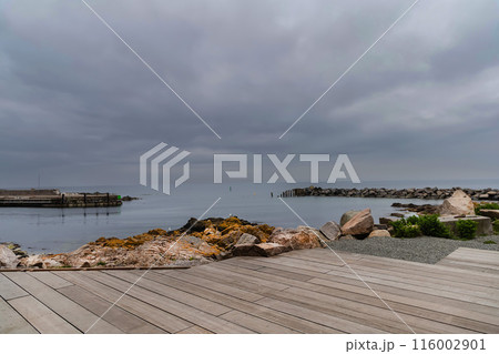 Rocky seashore. Stones covered with yellow and green moss and cloudy sky. Rocky seashore. Stones covered with yellow and green moss and cloudy sky. 116002901