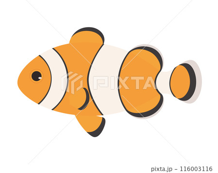 カクレクマノミのイラスト 116003116