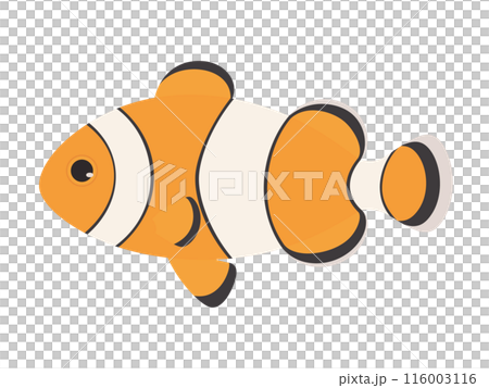 カクレクマノミのイラスト 116003116