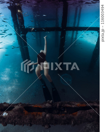 Woman freediver explore underwater on deep in transparent ocean. Freediving under the pier Woman freediver explore underwater on deep in transparent ocean. Freediving under the pier 116003494