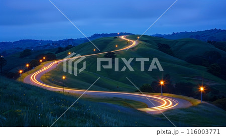 A winding hillside road with streetlights forming a serpentine path, guiding travelers under a starry sky. 116003771