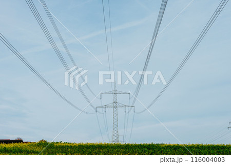 High voltage power lines leading through a green field. Transmission of electricity by means of supports through agricultural areas. 116004003