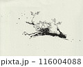 鳥の巣の中の3つの卵、ペンで描かれたモノクロイラスト、水彩用紙のテクスチャー 116004088